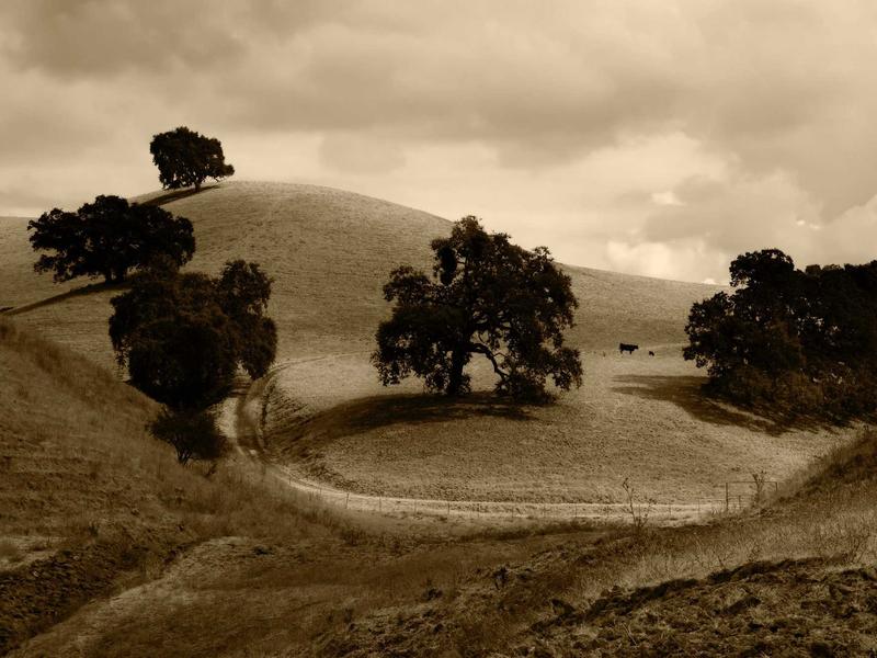 sudoku special edition screenshot 3